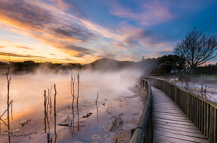 New Zealand FREE Experiences To Do At Least Once In Your Life